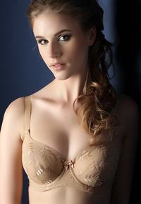 Anonymous in lingerie