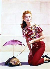 Ann-Margret Pictures Ann-Margret