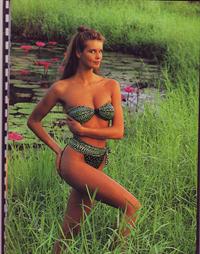 Elle MacPherson in a bikini