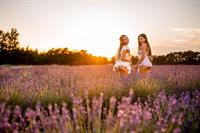 Vixen.com 08-27-2019 Naomi Swann & Talia Mint - Our Secret Place