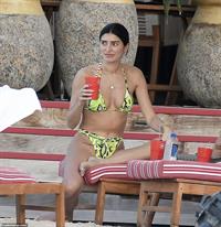 Nicole Williams English