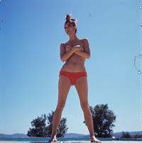Elsa Martinelli in a bikini