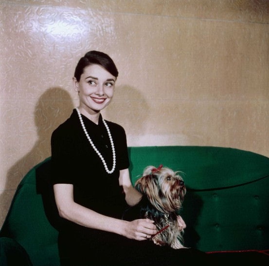 Audrey Hepburn