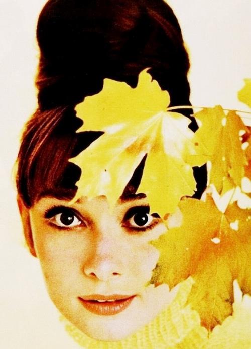 Audrey Hepburn