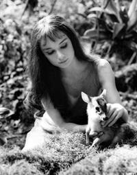 Audrey Hepburn