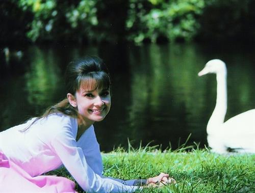 Audrey Hepburn