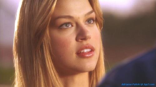 Adrianne Palicki