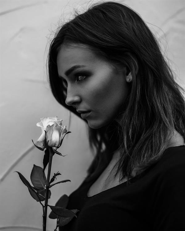White rose