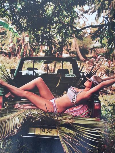 Robyn Lawley in a bikini