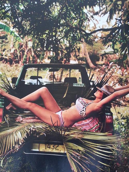 Robyn Lawley in a bikini