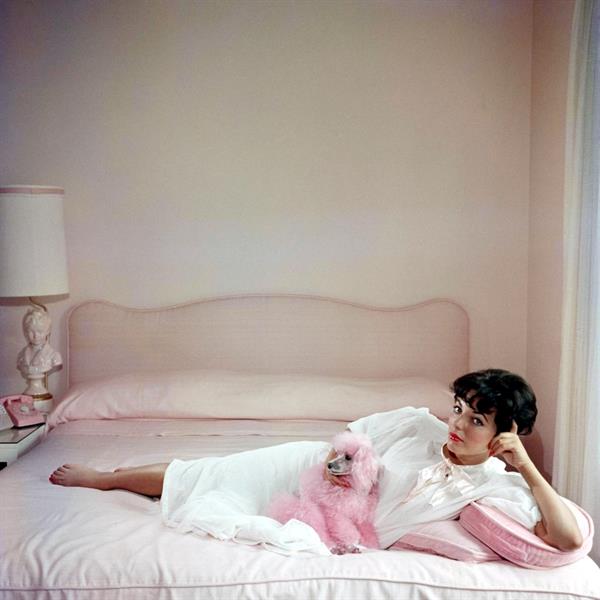 Joan Collins