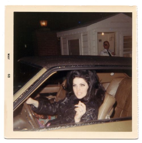 Priscilla Presley