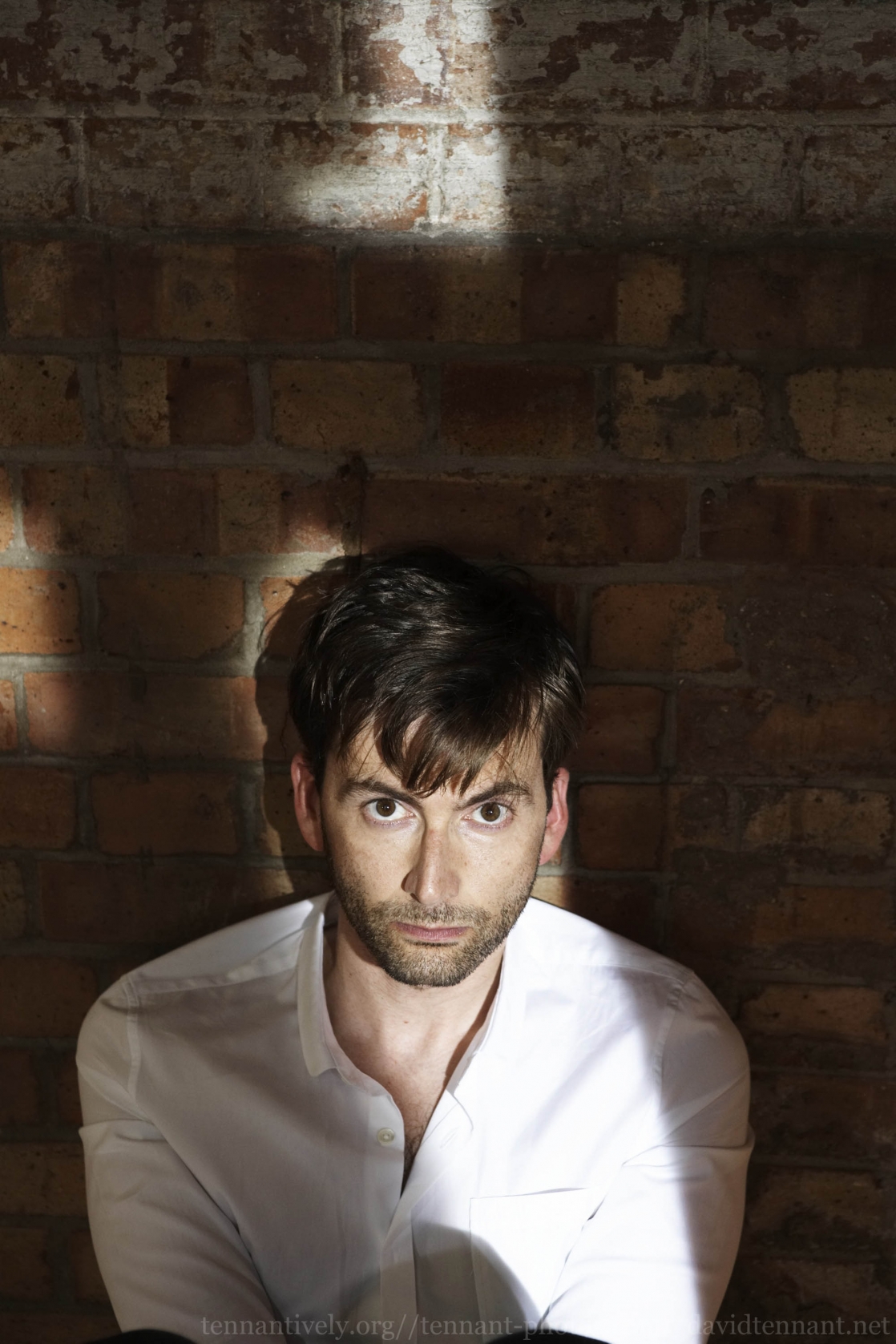 David Tennant