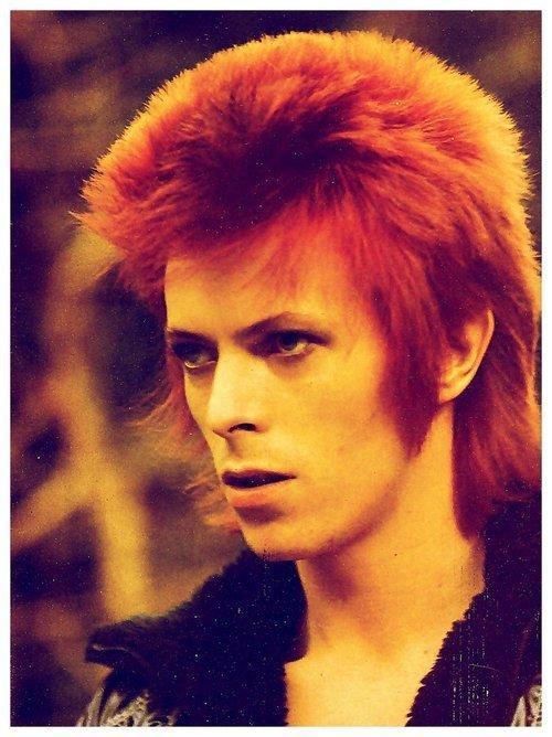 David Bowie